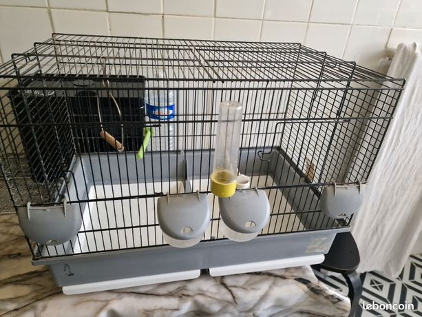 Sitemapcdatahttpapsmixel Thicoipeinfocage Oiseaux Occasion Particulier 1