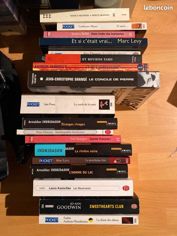 Lot de livre policier (image 1)