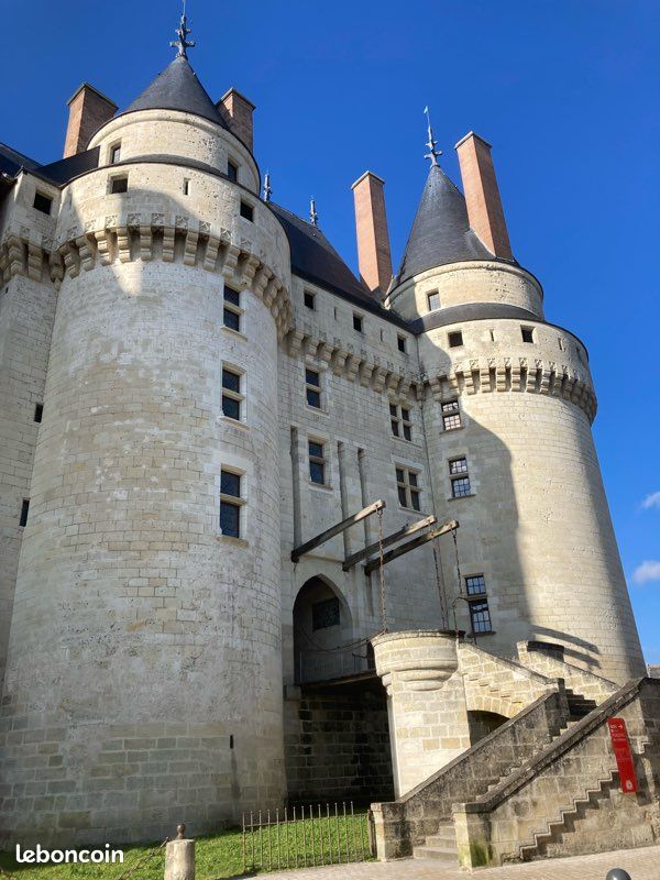 Location Maison 6 personnes - Gîte 3* Au Coeur d'Azay (image 19)