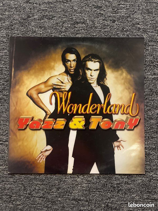 Azz and tony - wonderland vinyl (image 1)