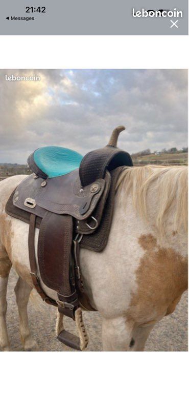 Selle western d’équitation (image 1)