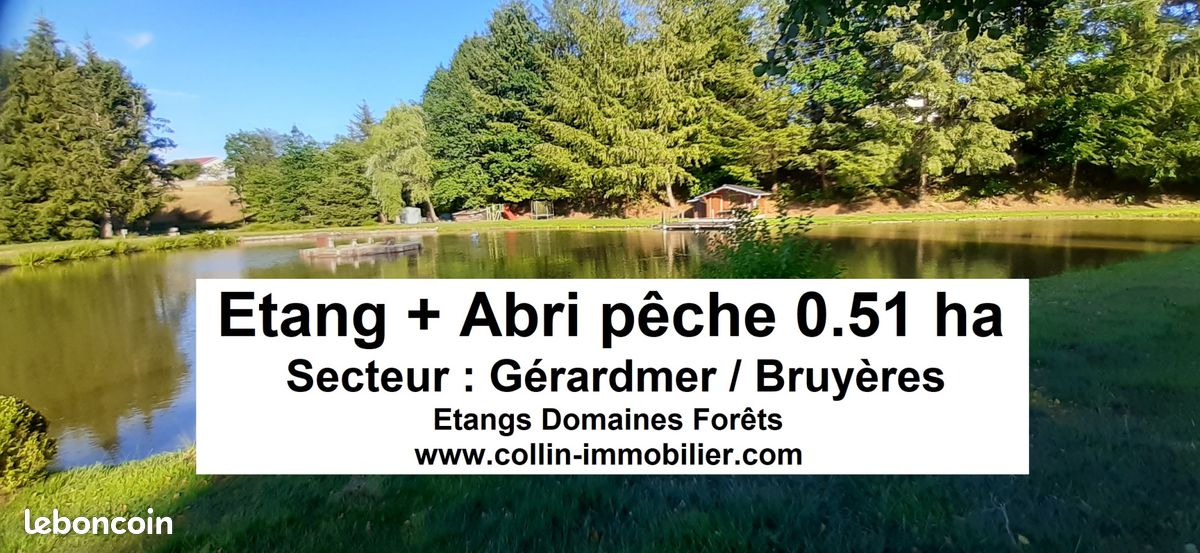 Terrain 5119 m² · à Gérardmer · 5 119 m² · 118 000 €