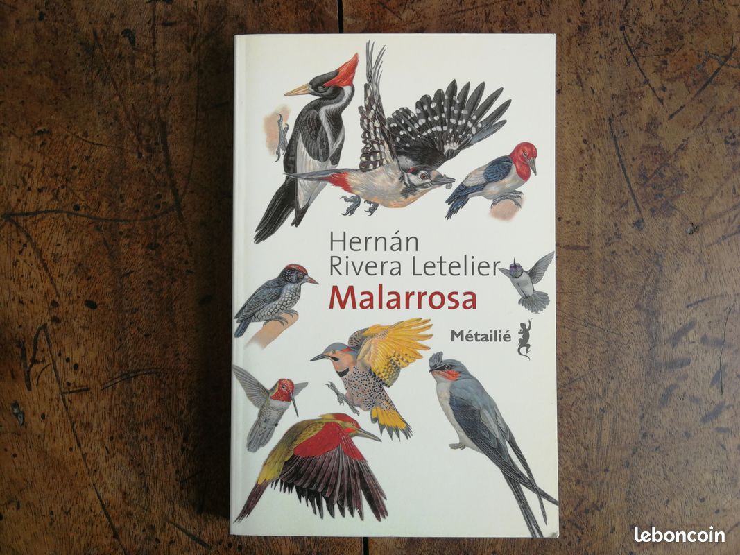 Malarrosa, Hernán Rivera Letelier, éd. Métailié (image 1)