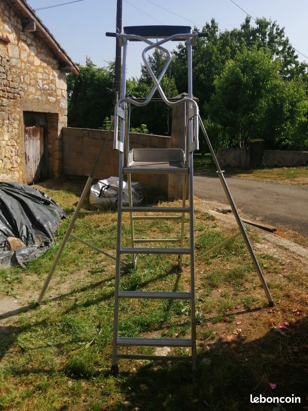 Gazelle Duarib (image 1)