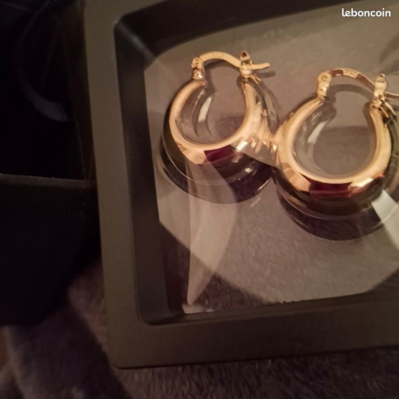 Plaquées Or en Acier Inoxydable, Boucles d’Oreilles Créoles Neuves (image 6)
