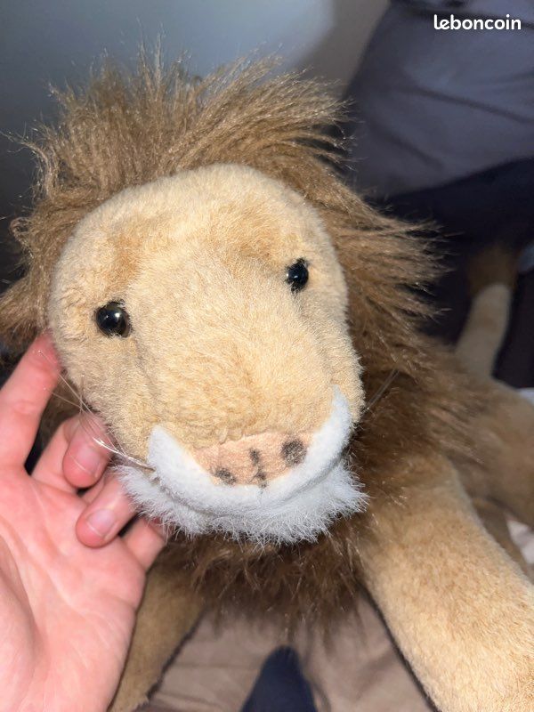 Lion roi be savane safari (image 2)