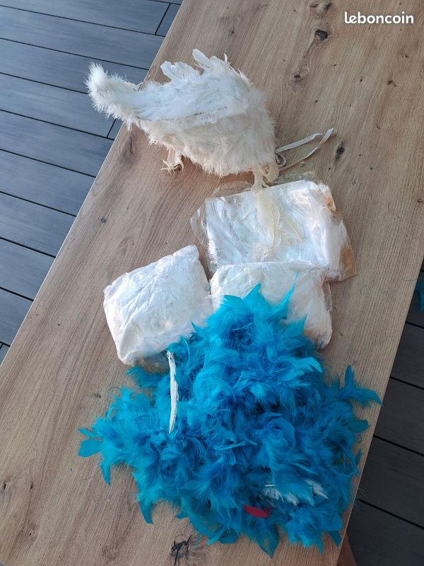 Boa et plumes (image 2)