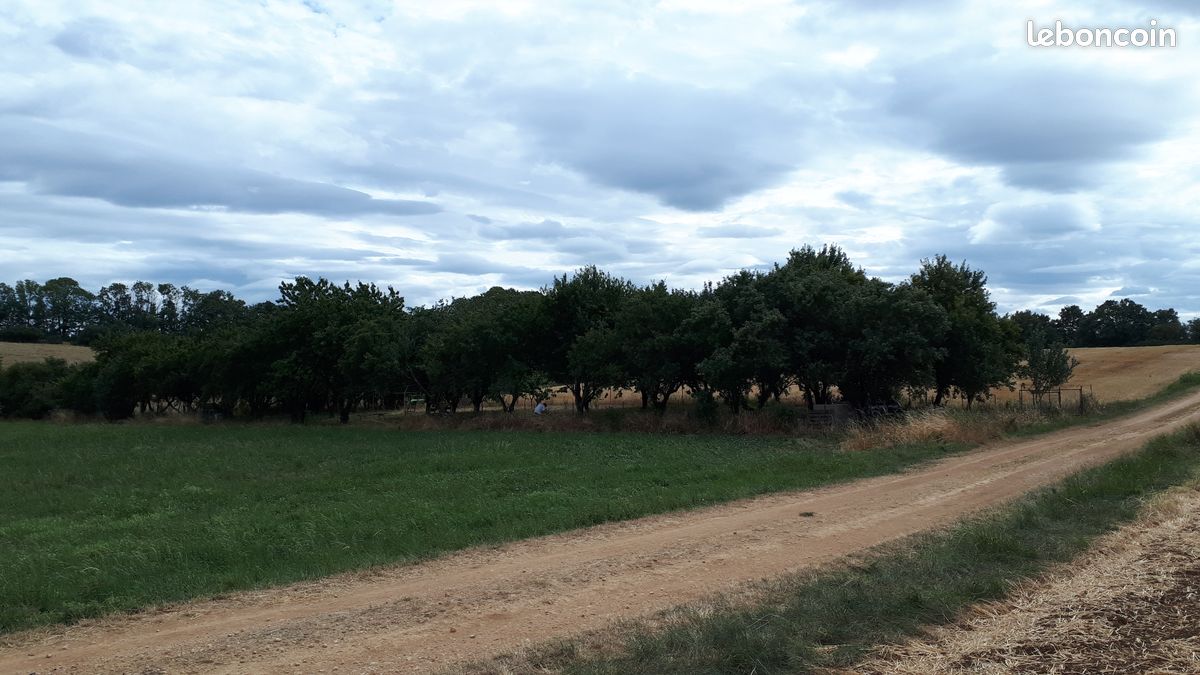 Verger sur commune de FLIREY · 13 500 €