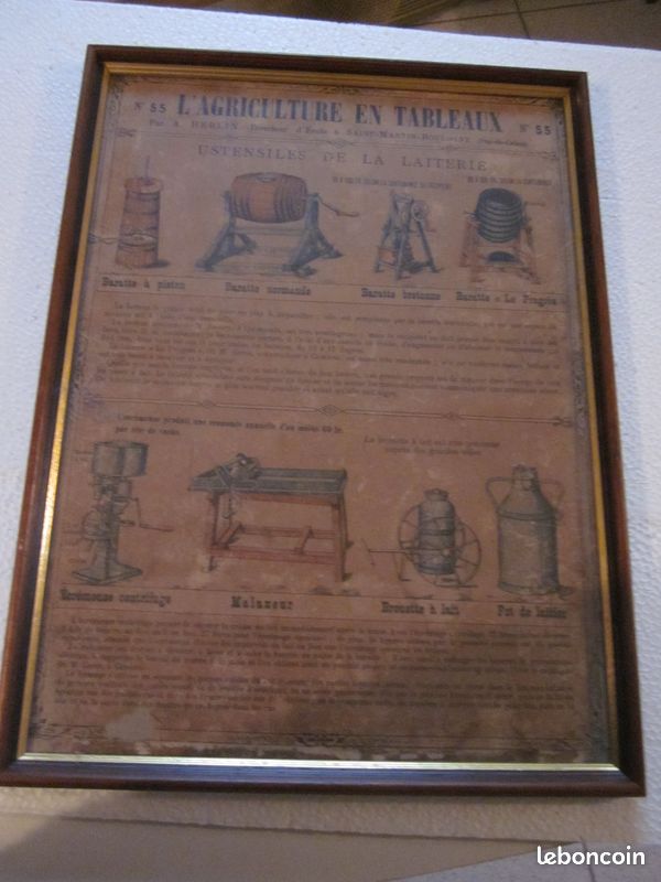 L'agriculture en tableaux n° 55 affiche d'école A. Herlin (image 4)