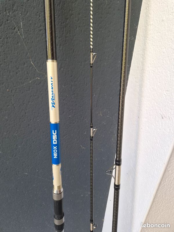 Canne surfcasting (image 1)