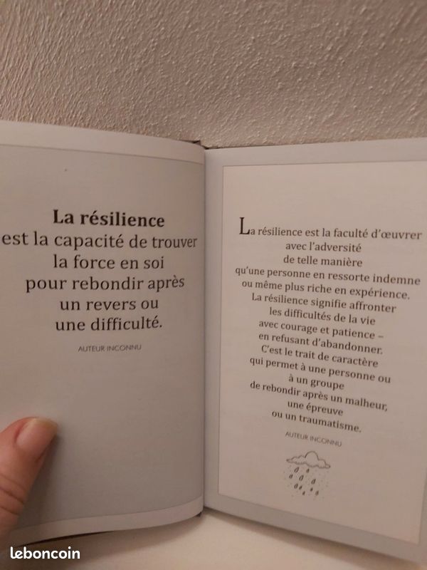 Le livre de la résilience/Helen Exley (image 2)