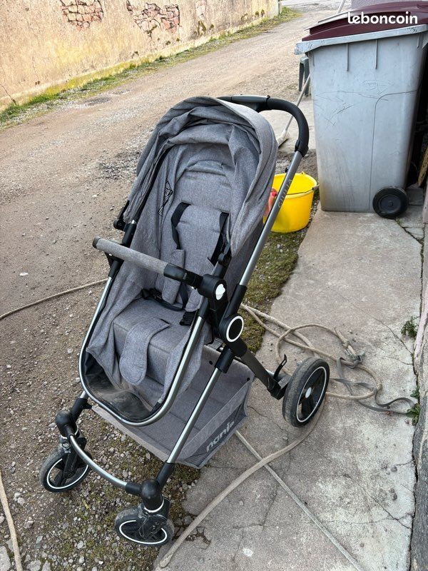 Poussette 2 en 1 avec cosy (image 1)
