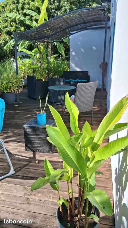 Appartement 2 pièces 55 m² · à La Possession · 55 m² · 1 150 €/mois