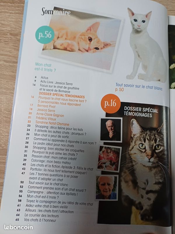 Magazine Mon Chat (image 2)