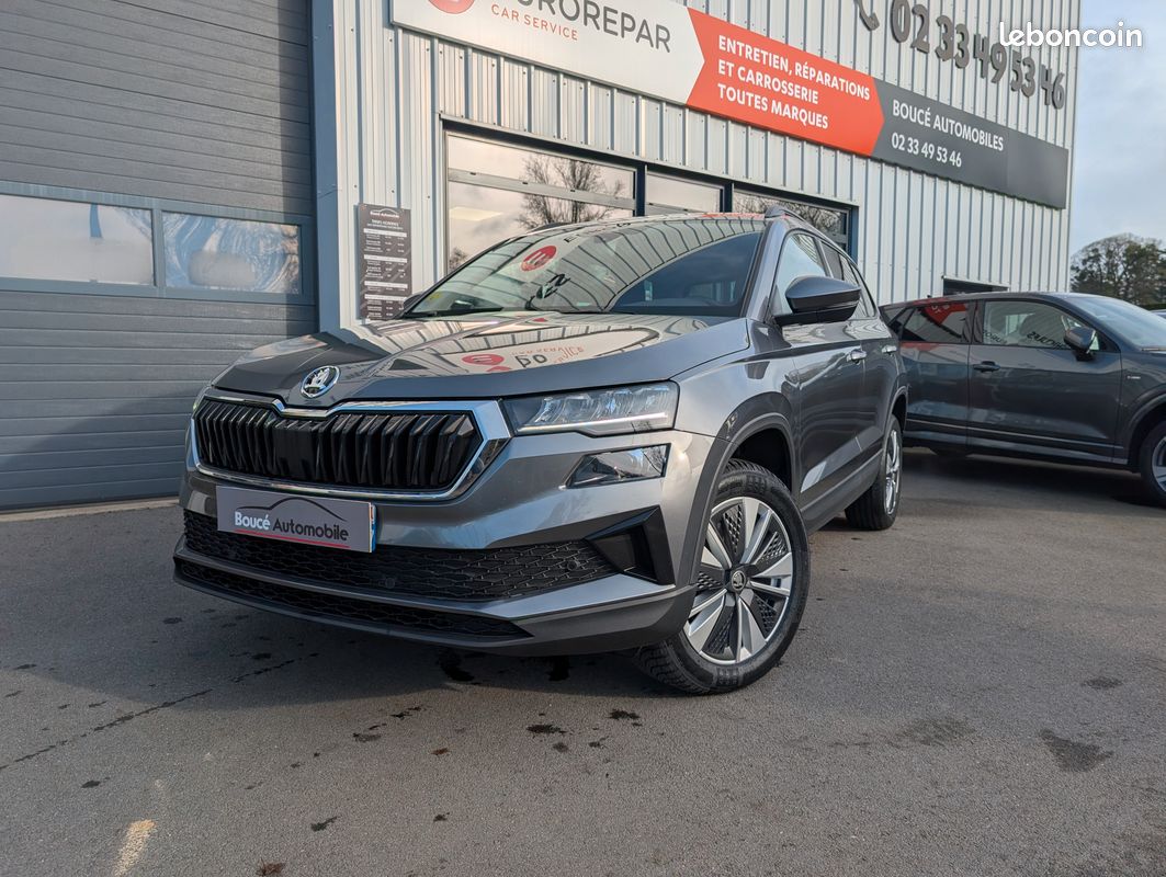 Skoda Karoq 2.0 TDI 116ch SCR Business DSG7 (image 1)