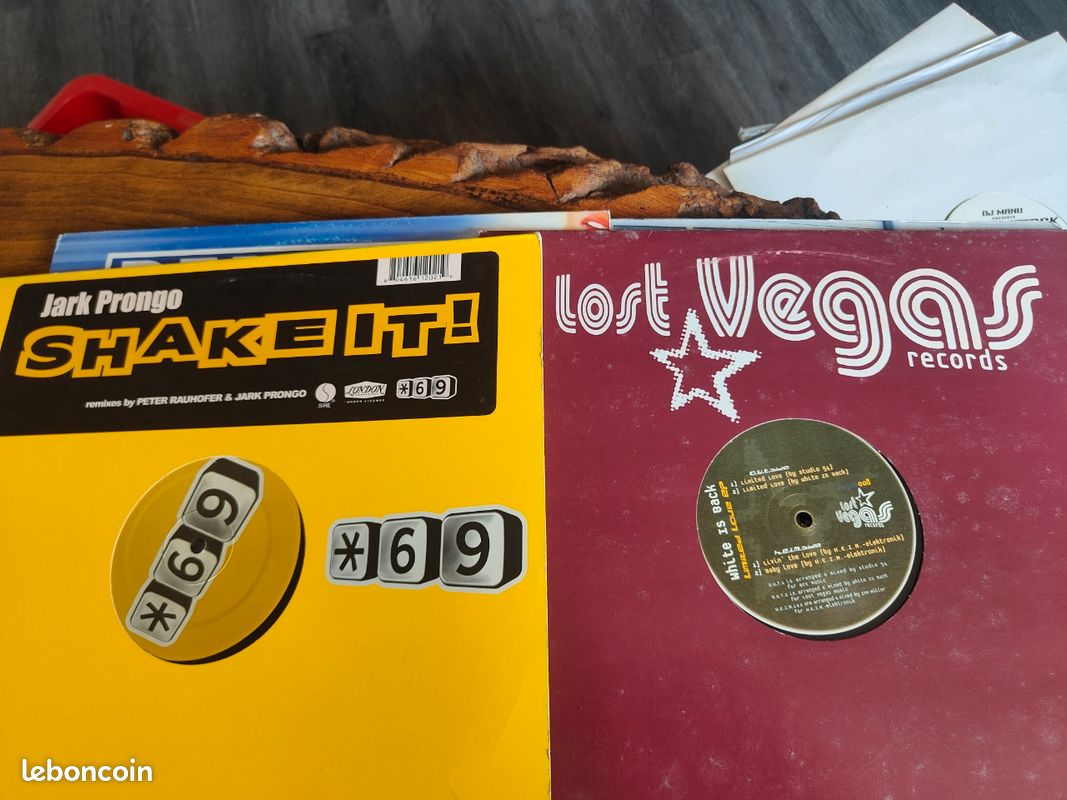 Lot 24 vinyle House (image 1)