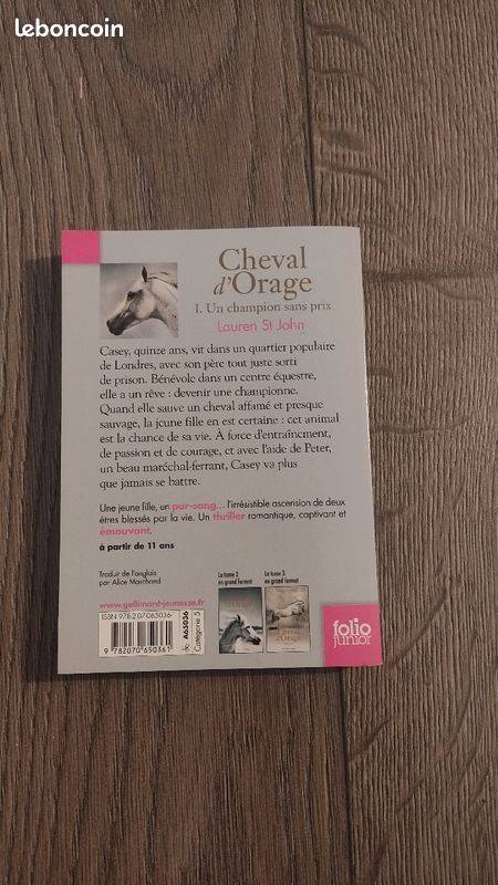 Un champion sans prix - Cheval d'orage tome 1 - Lauren St John (image 2)