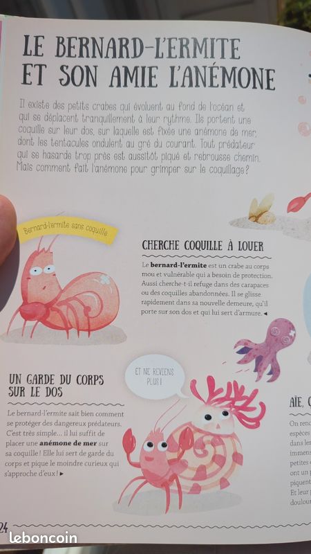 Livre, Amis pour la Vie (image 2)