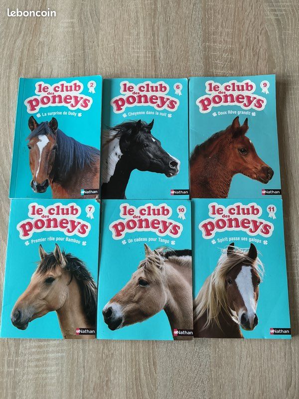 Le club des poneys (image 1)