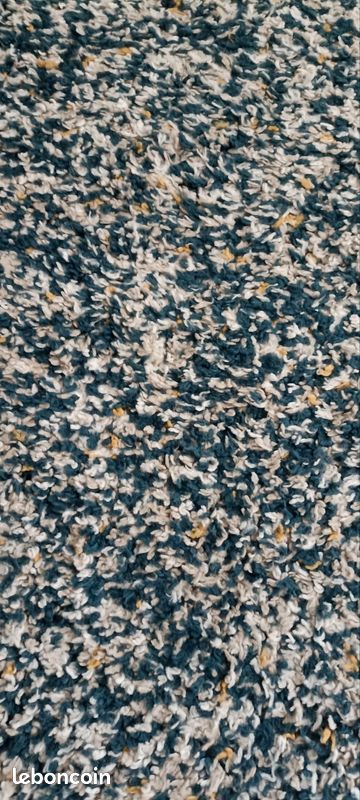 Tapis de salon (image 1)