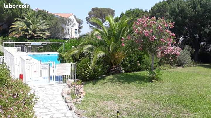 Appart t2 piscine frejus st aygulf (image 16)