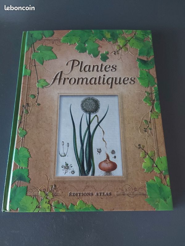 Livre Plantes Aromatiques (image 1)