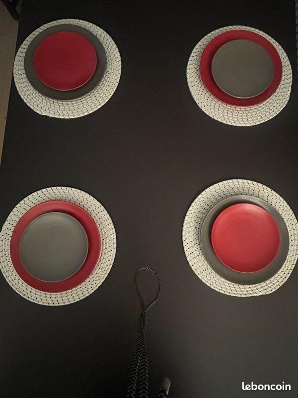 19Assiettes Guy Degrenne (image 3)
