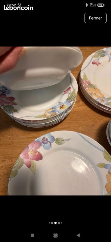 DISPONIBLE Lot de 7 assiettes plates à motifs de fruits rouges et