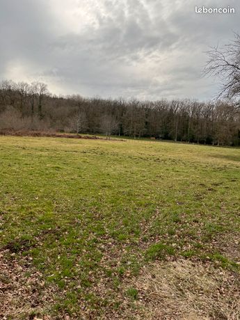 Beau terrain 1 hectare