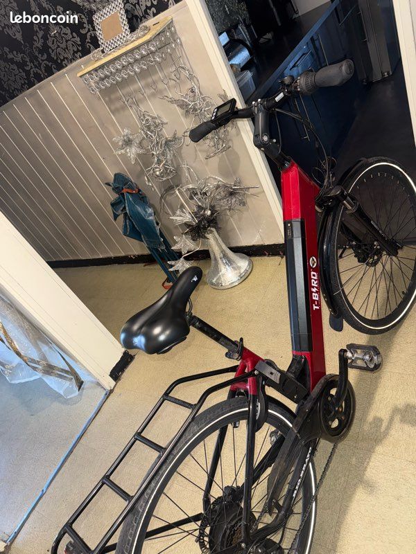 Vélo électrique t-bird (image 3)