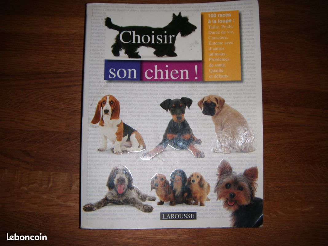 Choisir son chien (image 1)