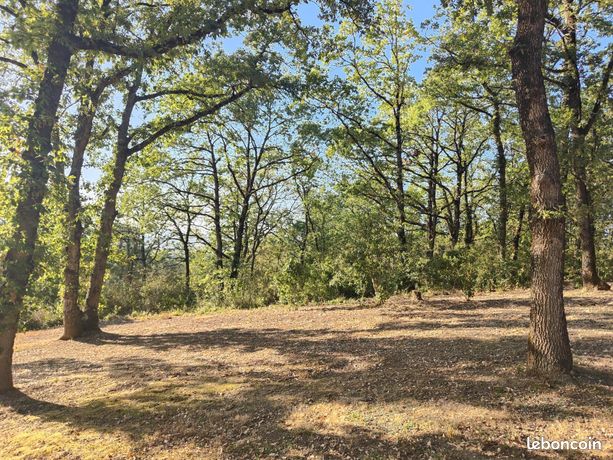 Terrain 2000 m² GRISOLLES