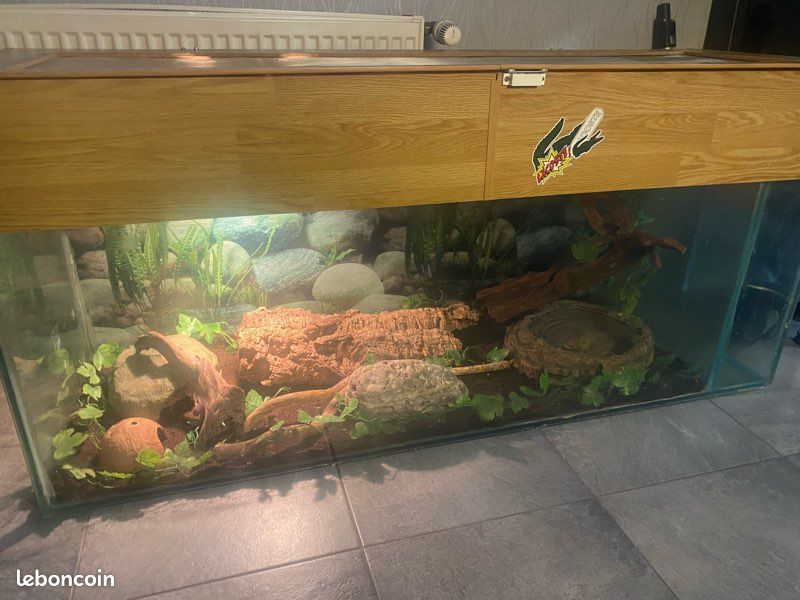 Terrarium (image 3)