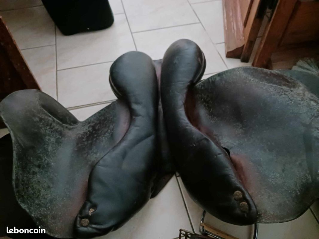 Selle cheval (image 1)