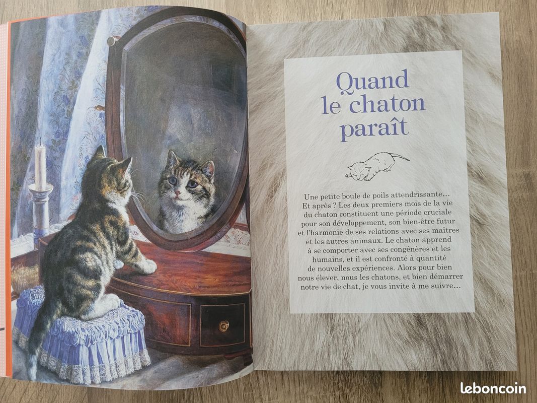 Livre 1001 secrets de chats (image 6)