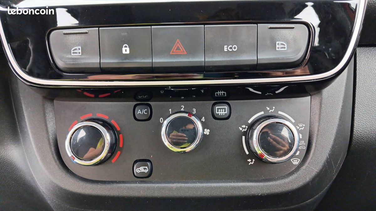 Dacia spring expression (image 25)