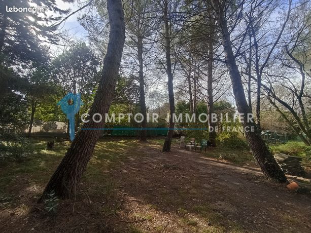 https://img.leboncoin.fr/api/v1/lbcpb1/images/af/61/57/af61573b9348ff367570d8e5fe941352bf06ea09.jpg?rule=ad-image