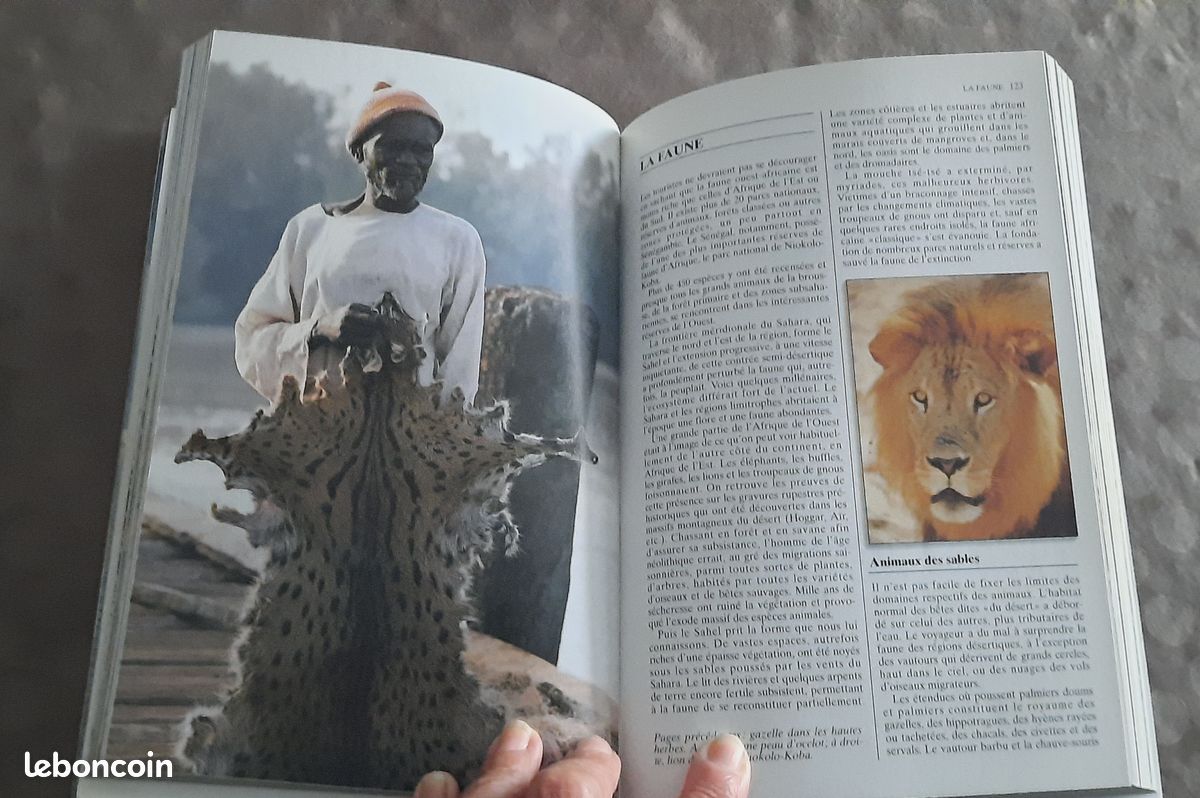 Le grand guide du Sénégal, Gallimard (image 2)