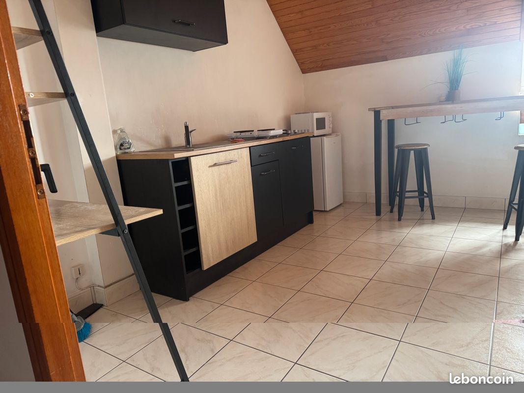Appartement 1 pièce 25 m² · à Ancenis-Saint-Géréon · 25 m² · 460 €/mois