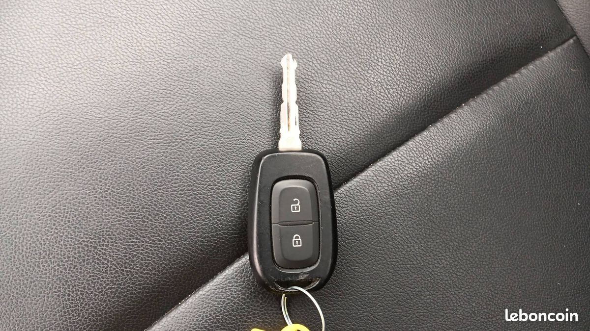 Dacia spring expression (image 28)