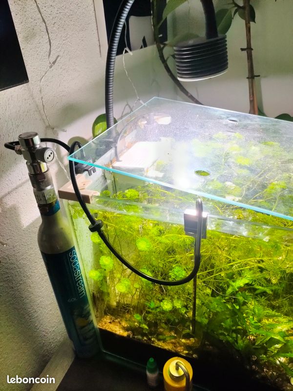 Aquarium (image 2)