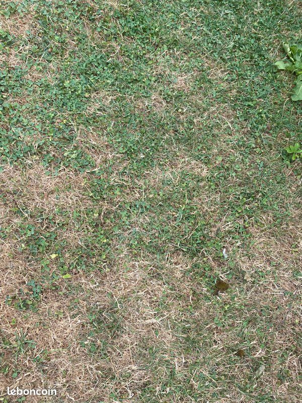 Terrain agricole · à Bambecque · 100 €