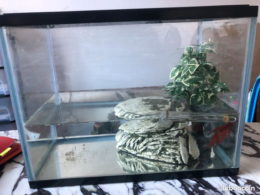 Cuve aquarium 180 litres (image 1)