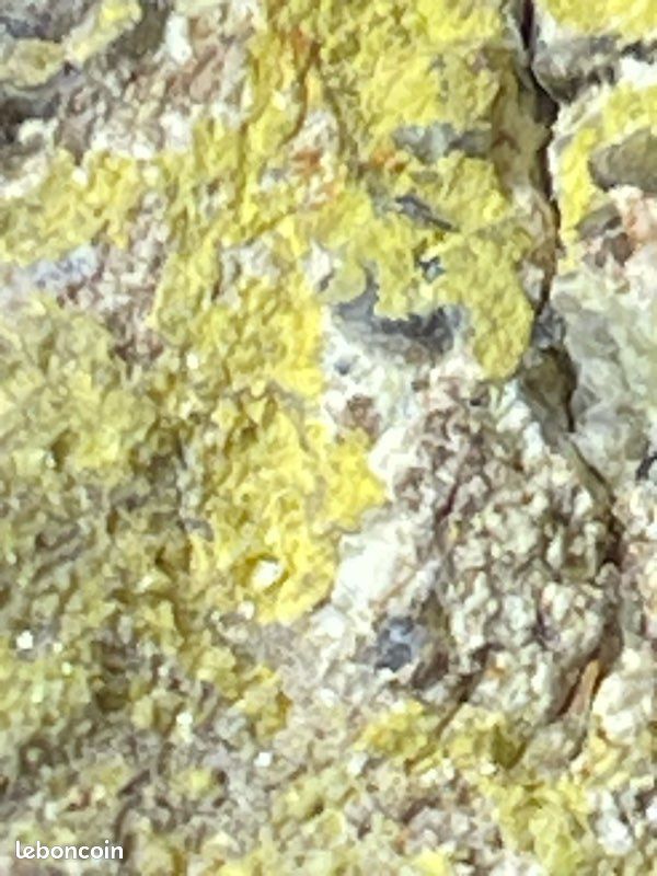 Autunite pierre uv (image 19)