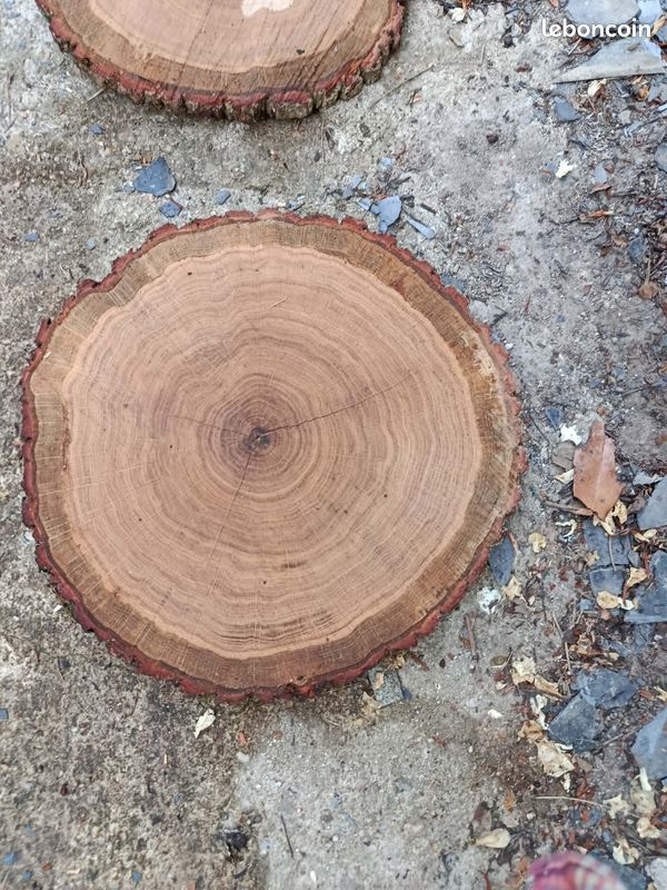 Rondelles de bois déco (image 1)