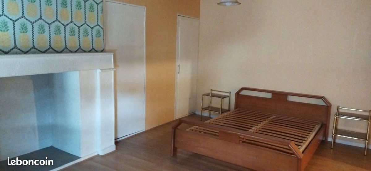 A louer maison Tonneins centre ville - Tonneins 47400 (image principale 2)