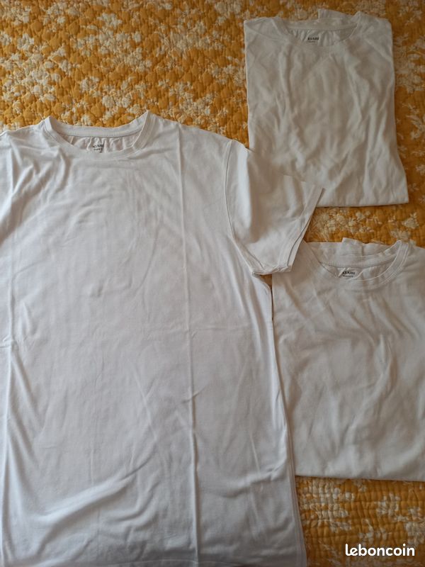Lot 3 T.Shirts blancs homme (image 1)
