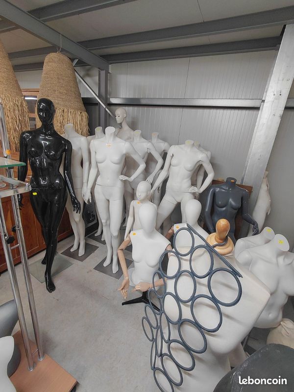 Mannequin et buste (image 3)