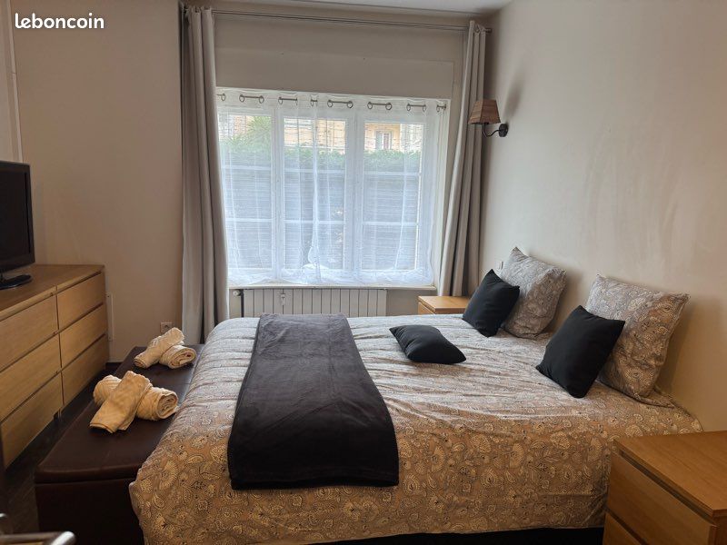 Appartement cœur triangle d’or (image 5)