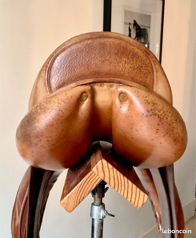 Selle de dressage Delgrange (image 11)